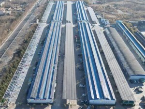 淄博市臨淄區(qū)康山裝飾材料城一萬(wàn)平方光伏發(fā)電站
